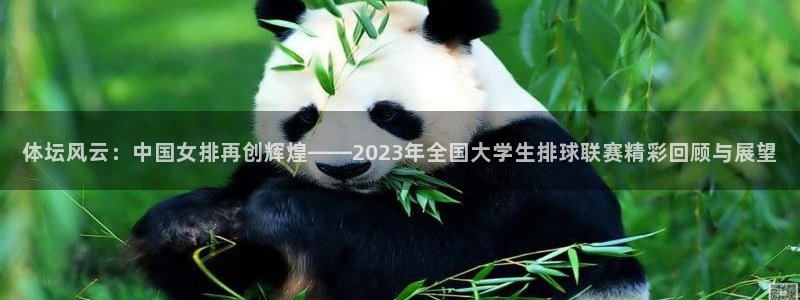 体坛风云：中国女排再创辉煌——2023年全国大学生排球联赛精彩回顾与展望