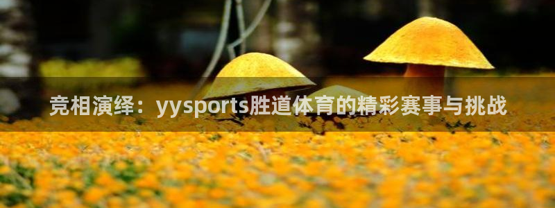 竞相演绎：yysports胜道体育的精彩赛事与挑战