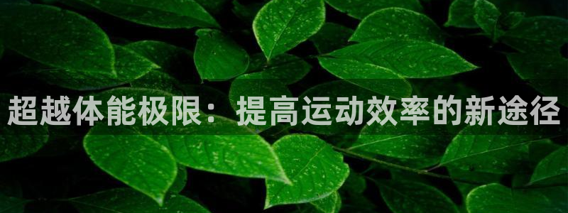 超越体能极限：提高运动效率的新途径