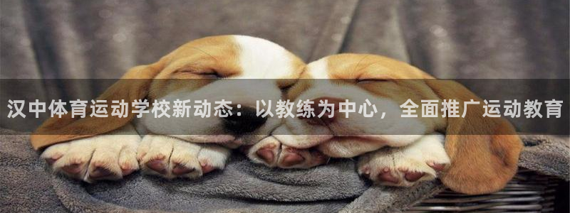 汉中体育运动学校新动态：以教练为中心，全面推广运动教育