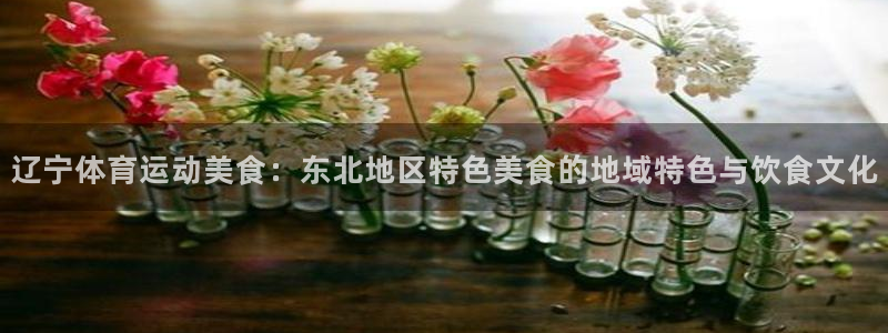 辽宁体育运动美食：东北地区特色美食的地域特色与饮食文化