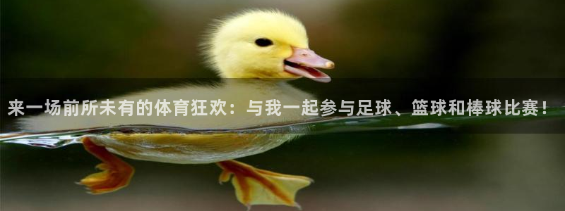 来一场前所未有的体育狂欢：与我一起参与足球、篮球和棒球比赛！