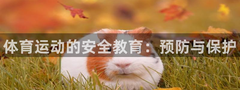 体育运动的安全教育：预防与保护