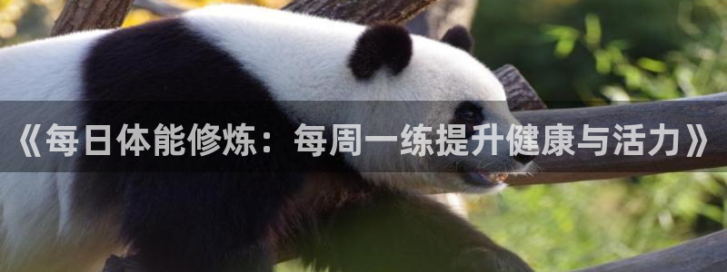 《每日体能修炼：每周一练提升健康与活力》
