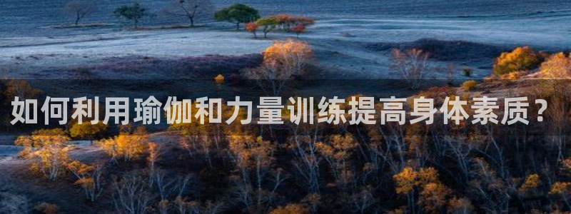 如何利用瑜伽和力量训练提高身体素质？