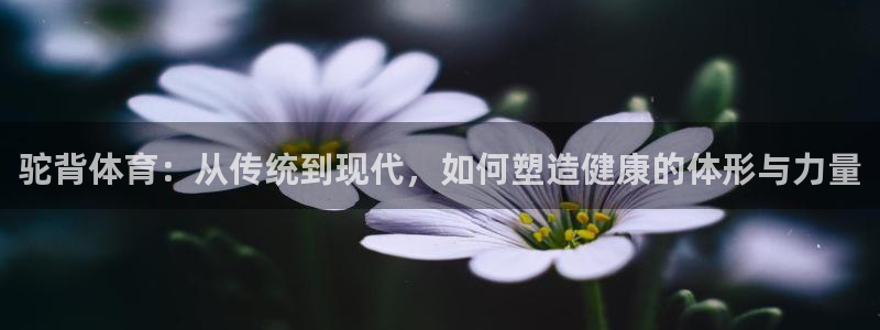 驼背体育：从传统到现代，如何塑造健康的体形与力量