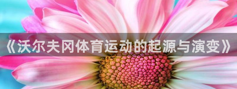 《沃尔夫冈体育运动的起源与演变》