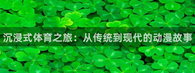 沉浸式体育之旅：从传统到现代的动漫故事