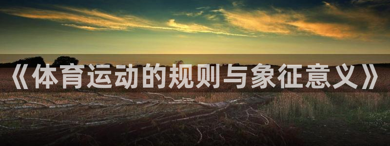 《体育运动的规则与象征意义》