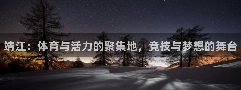 靖江：体育与活力的聚集地，竞技与梦想的舞台