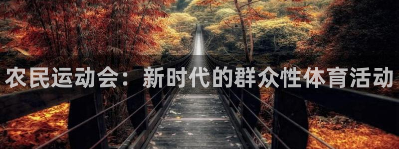 农民运动会：新时代的群众性体育活动