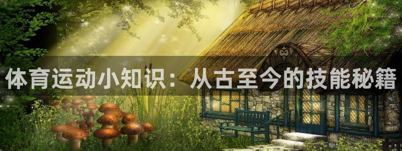 体育运动小知识：从古至今的技能秘籍